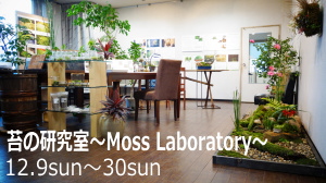 苔の研究室～Moss laboratory～