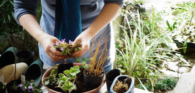 home Gardening Circle