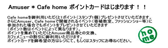Amuser * Cafe home ポイントカードはじまります!!